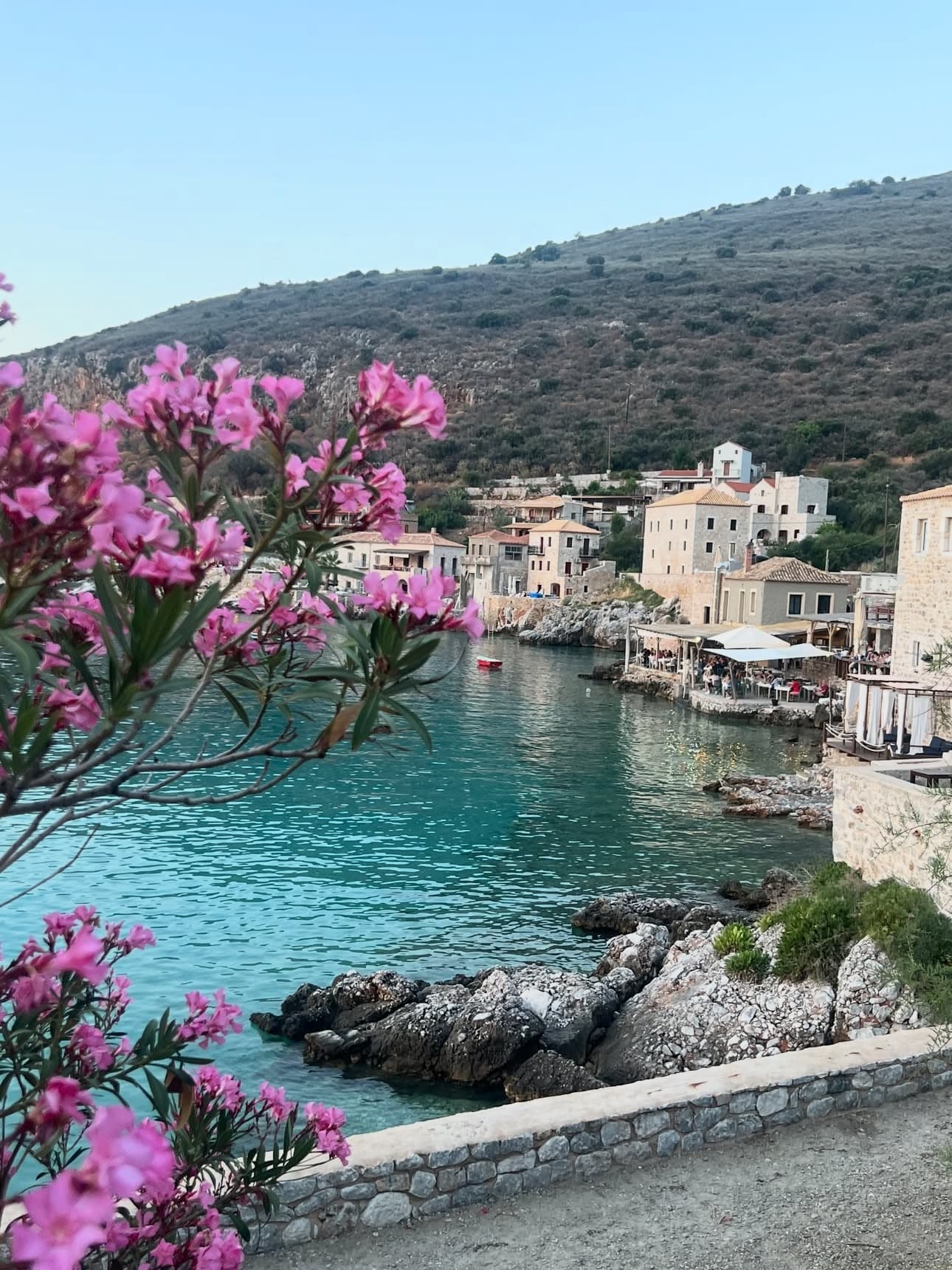 Wildflowers blooming on a Greek hillside in spring
