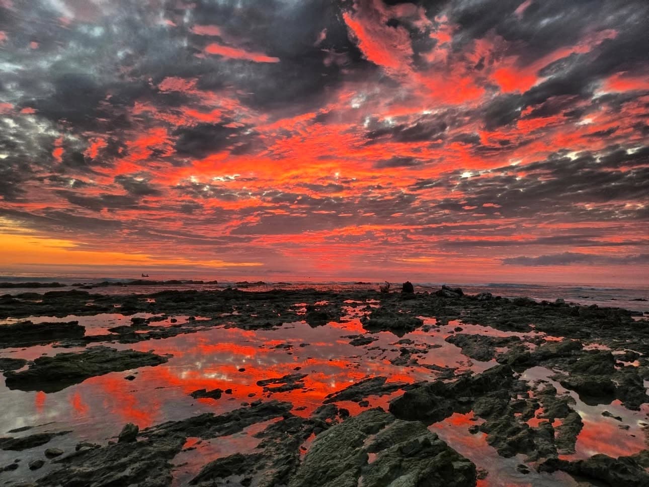 Best Time to Visit Costa Rica in 2026: The Honest Month-by-Month Guide