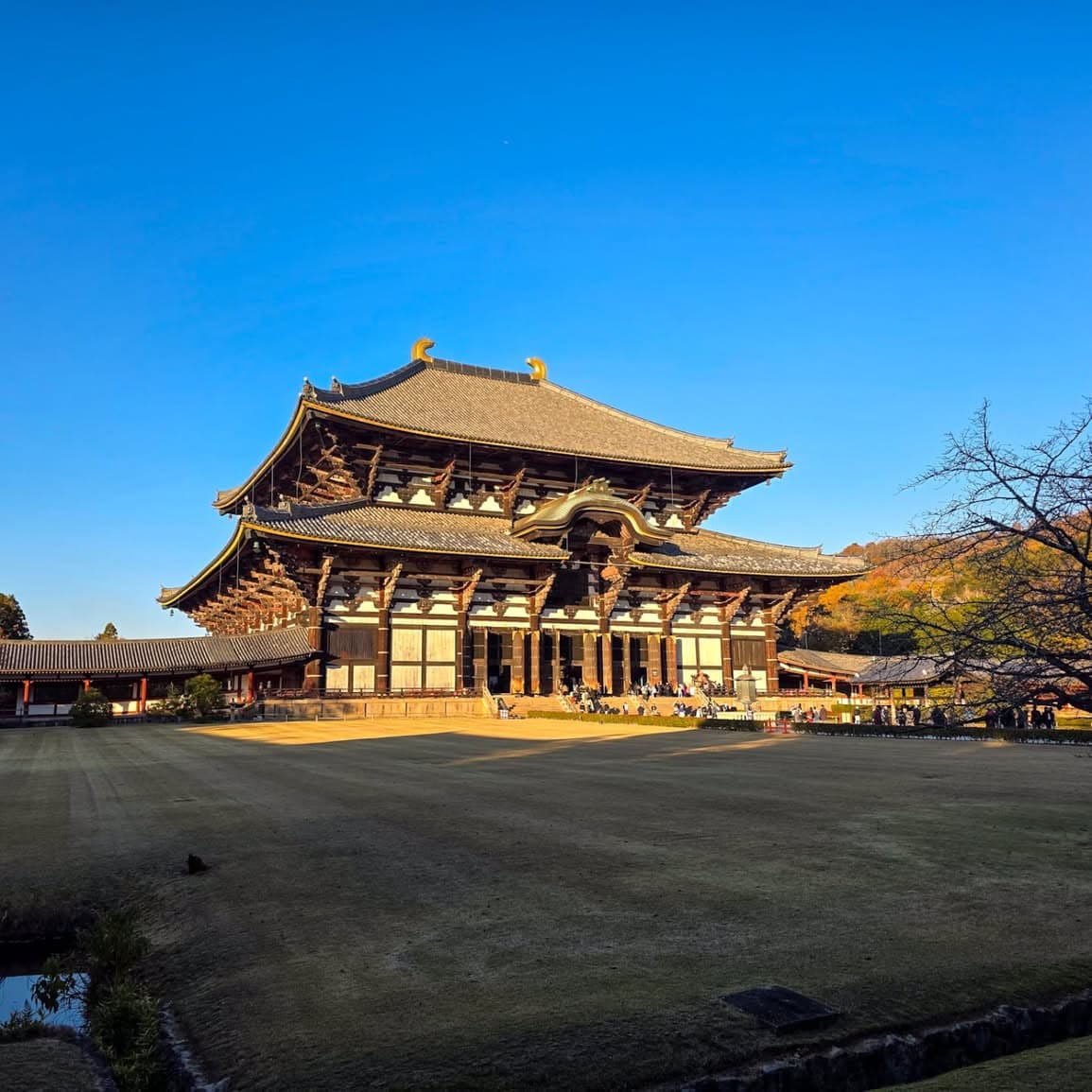Todai-ji Temple — housing the worlds largest bronze Buddha