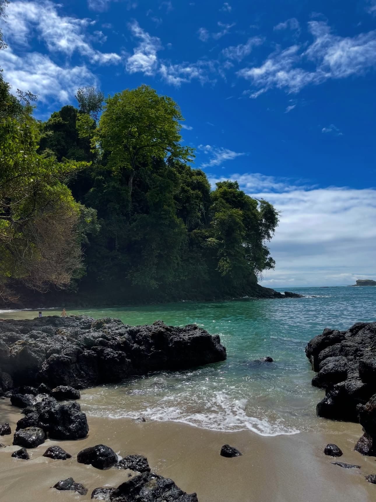 White-faced capuchin monkeys on the beach at Manuel Antonio National Park
