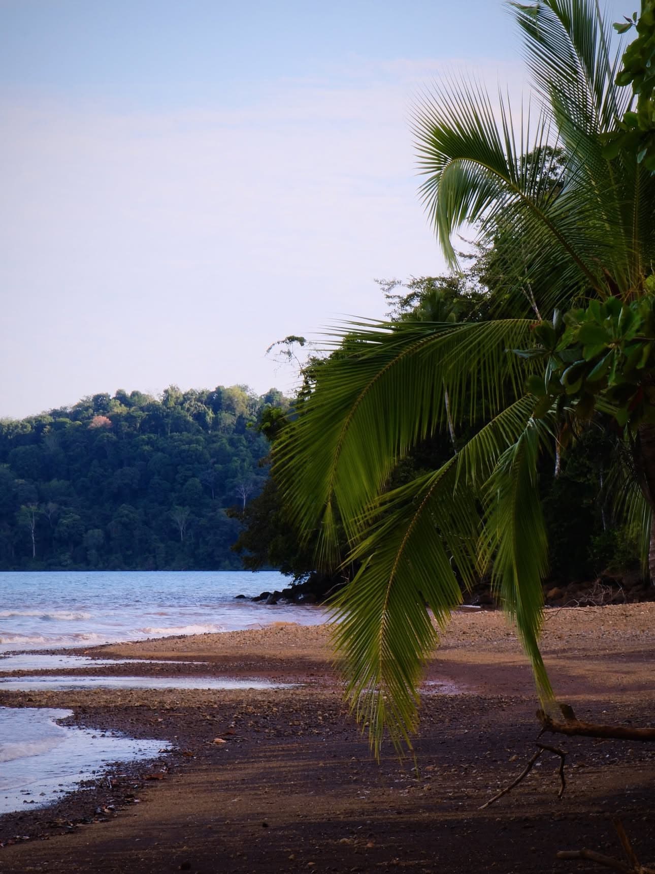 Aerial view of Costa Rica — tropical rainforest meets turquoise ocean