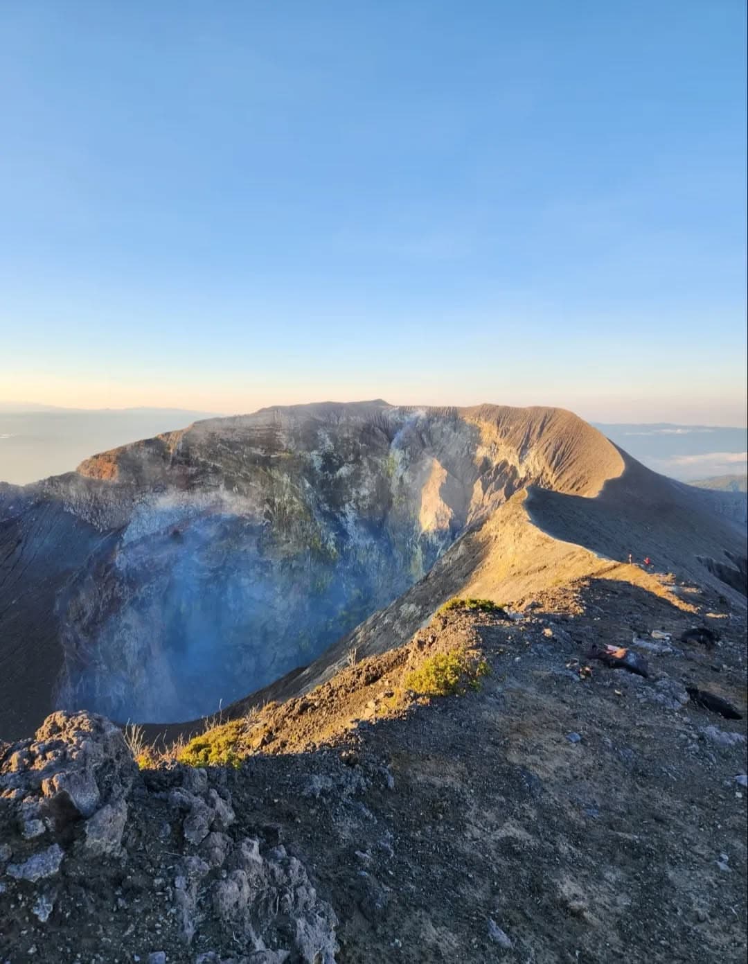Green sea turtle laying eggs at Tortuguero National Park